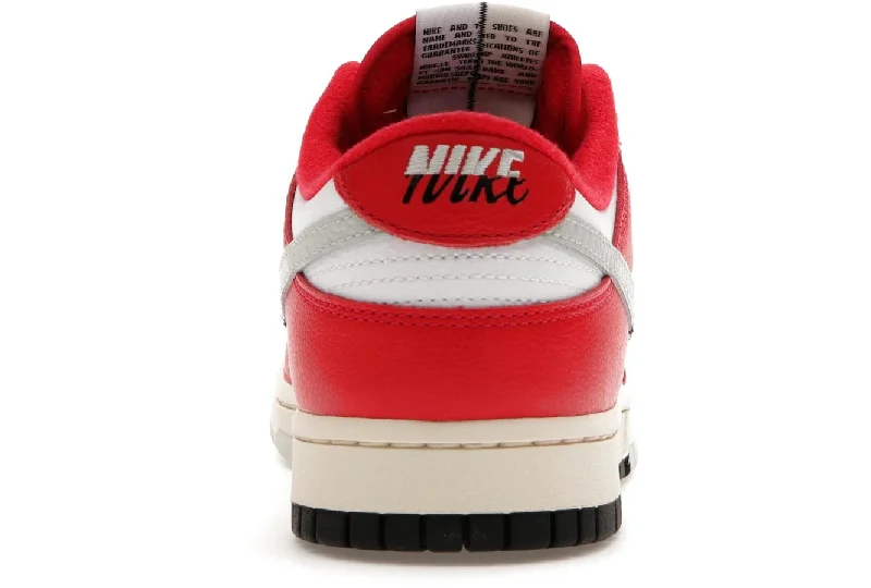 Nike Dunk Low Chicago Split